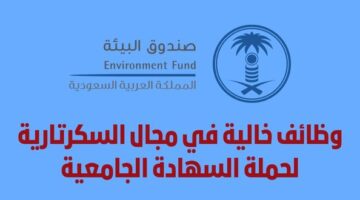 وظائف صندوق البيئة الإدارية والهندسية والتقنية لحملة الشهادة الجامعية