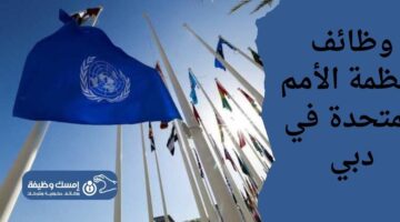 وظائف منظمة الأمم المتحدة في دبي