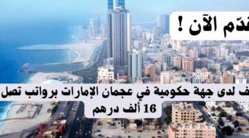 وظائف لدى جهة حكومية في عجمان الإمارات