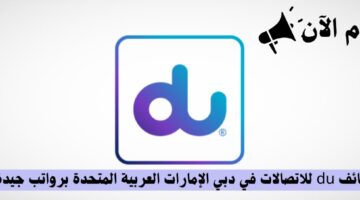 وظائف du للاتصالات في دبي الإمارات